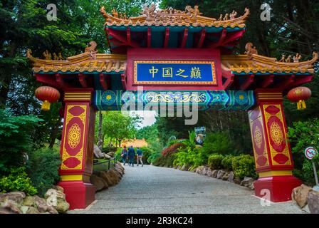 Saint-Aignan, FRANCIA, Vista, decor cinese, ingresso, Giardino tropicale esotico, nello Zoo de Beauval, Hotel des Pagodes Foto Stock