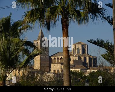 Iglesia parroquiale . Sineu. Comarca de es Pla. Maiorca. Baleares.España. Foto Stock