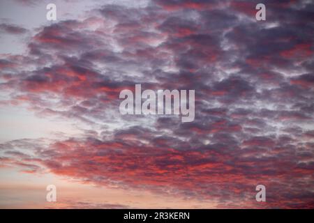 Nuvole rosa al tramonto in estate Foto Stock