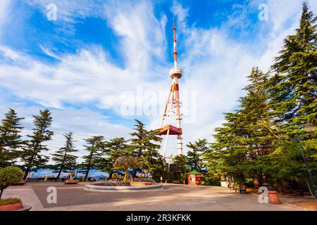 Tbilisi TV Broadcasting Tower. Tbilisi è la capitale e la città più grande della Georgia, situata sulle rive del fiume Kura. Foto Stock