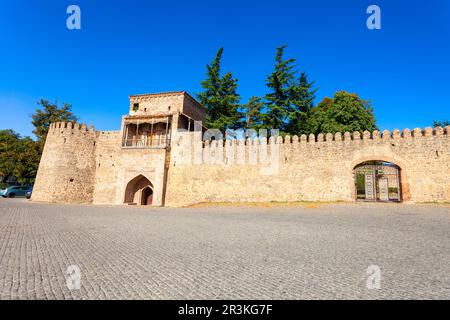 Fortezza di Batonis Tsikhe a Telavi. Telavi è la città principale della provincia di Kakheti in Georgia. Foto Stock