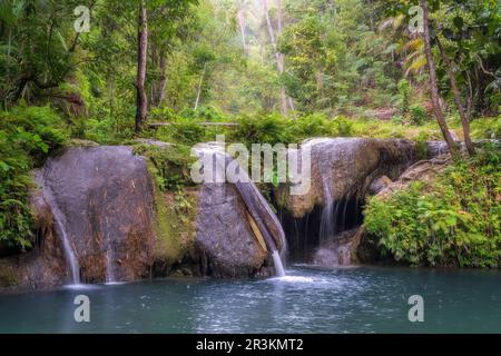 Bella cascata e giungla su un'isola nelle filippine Foto Stock