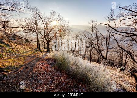 Congelare l'Alba autunnale, rocce ricoperte di polvere fresca neve. Stony rock peak è aumentato da foggy valley. Inverno misty sunrise in splendide rocce Foto Stock