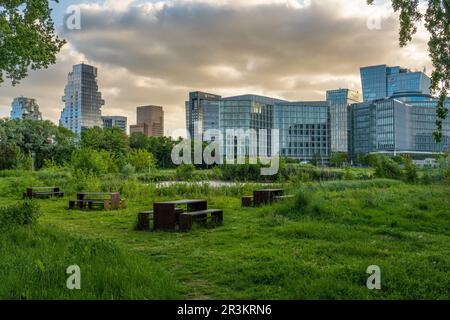 Amsterdam, Paesi Bassi, 23.05.2023, complesso residenziale The Valley, torre sinfonica e World Trade Center Amsterdam, simbolo di Zu Foto Stock