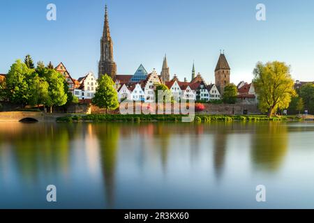 Panorama della città di Ulm con il Danubio Minster e Metzgerturm in primavera Foto Stock