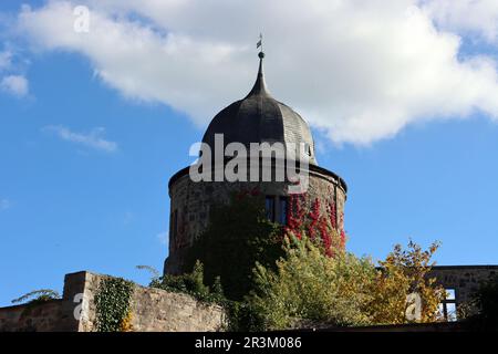 Sleeping Beauty Castle Sababurg nella foresta Reinhard Foto Stock