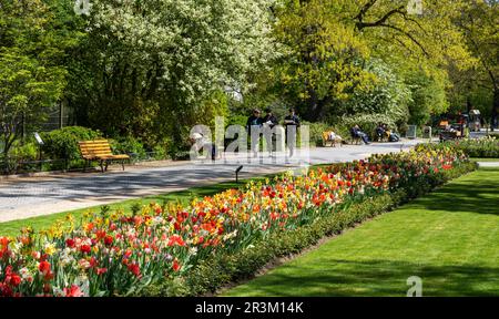 Letti decorativi Tulip a Park, Berlino, Germania Foto Stock