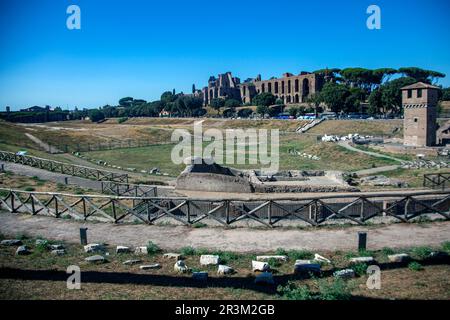 Il Foro Romano è una piazza rettangolare circondata dalle rovine di alcuni importanti edifici governativi nel centro della città di Roma Foto Stock