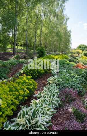 Piantare ombra ai Breezy Knees Gardens Foto Stock