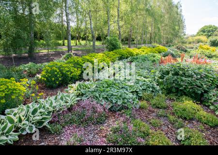 Piantare ombra ai Breezy Knees Gardens Foto Stock