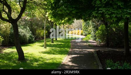 Sentiero ombreggiato presso i giardini Breezy Knees Foto Stock