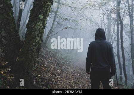 Un personaggio con cappuccio e speziato, di nuovo alla fotocamera. In piedi in una foresta in un'inquietante giornata di inverni nebbia. Con alberi che si stagliano contro la nebbia. Foto Stock