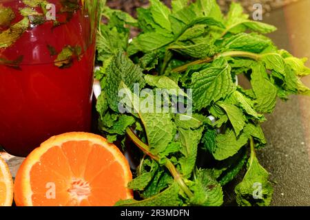 Arancia a fette e menta appena cresciuta. Foto Stock