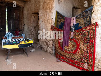 Bambini etiopi che giocano il piede del bambino sotto un cancello, regione di Harari, Harar, Etiopia Foto Stock