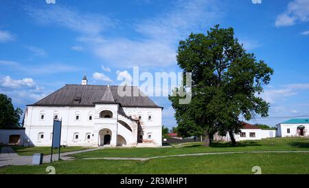 Il territorio del Cremlino Ryazan in una giornata di sole primaverile Foto Stock