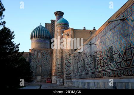 Particolare della piazza del Registan a Samarcanda, Uzbekistan Foto Stock