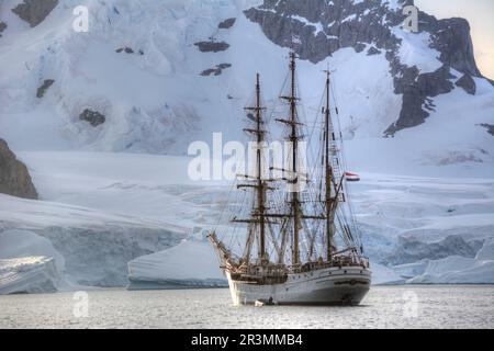 Barca a vela Bark Europa in una crociera antartica Foto Stock