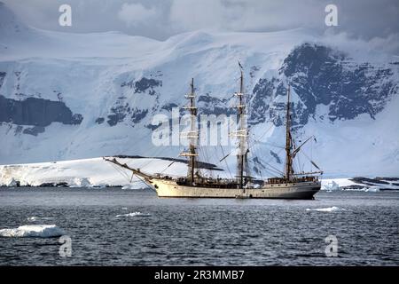 Barca a vela Bark Europa in una crociera antartica Foto Stock