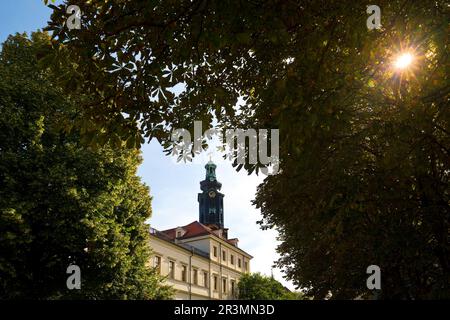 Palazzo della città di Weimar, Weimar classico, patrimonio dell'umanità dell'UNESCO, Weimar, Turingia, Germania, Europa Foto Stock