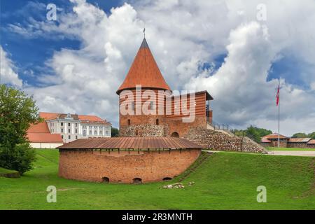 Il castello di Kaunas, Lituania Foto Stock