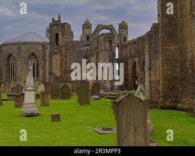 La Cattedrale di Elgin in Scozia Foto Stock