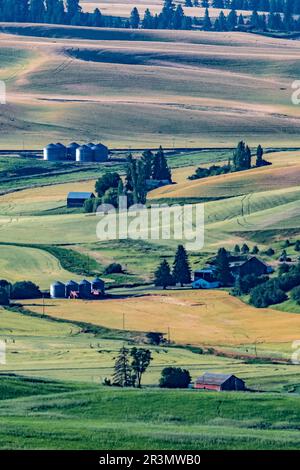 Paesaggi scene a palouse washington Foto Stock