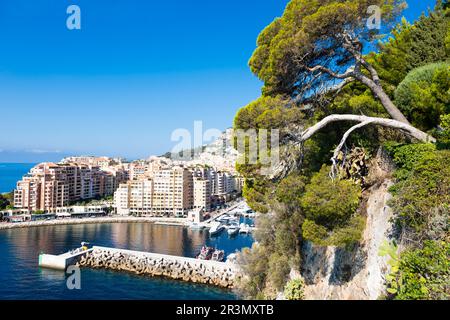 Montecarlo, Monaco - vista panoramica sul porto di Fontvielle con cielo blu e mare Foto Stock