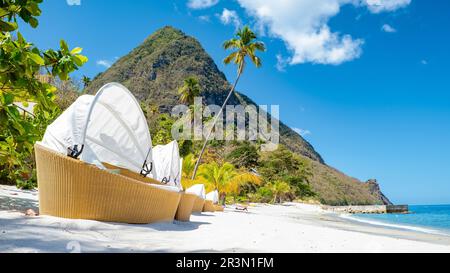 Sugar Beach Santa Lucia , una spiaggia pubblica tropicale bianca con palme e sedie da spiaggia di lusso Foto Stock