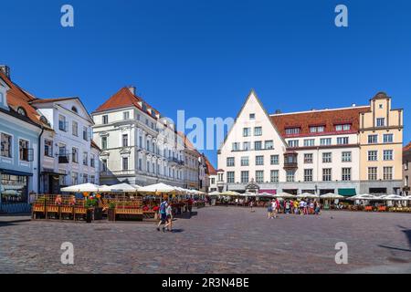 Piazza del Municipio a Tallinn, Estonia Foto Stock