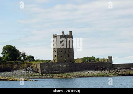 Tour dei Delfini del Castello di Carrigaholt MacMahon Foto Stock