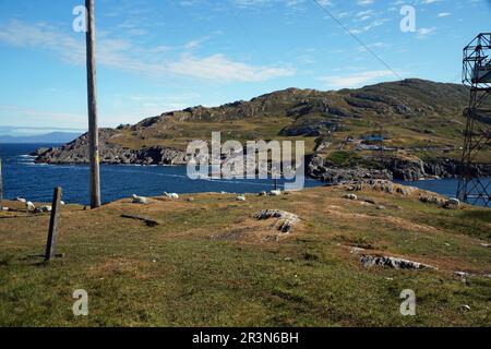 Bellissima isola di Dursey Foto Stock