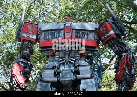 Leicester Square, Londra, Regno Unito. 24th maggio 2023. Transformers: L'ascesa delle bestie, costruendo Optimus prime in Leicester Square. Credit: Matthew Chattle/Alamy Live News Foto Stock