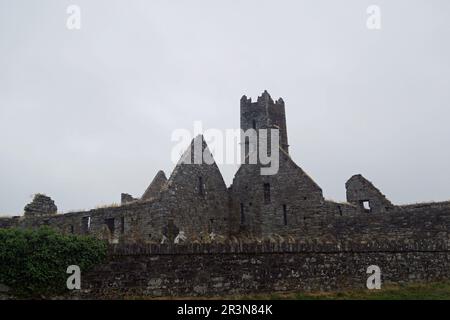 Rovine storiche del convento di Timoleague, contea di Cork, Irlanda, Repubblica d'Irlanda Foto Stock