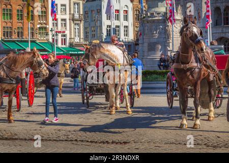 Carrozza a cavallo a Bruges, Belgio Foto Stock