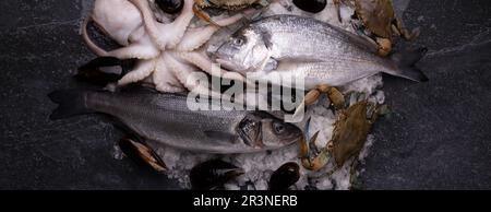 Pesce fresco panoramico Foto Stock