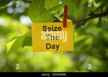 Una nota di carta gialla con la frase Seize the Day su di essa attaccata ad un ramo d'albero con una spilla vestiti. Primo piano. Foto Stock