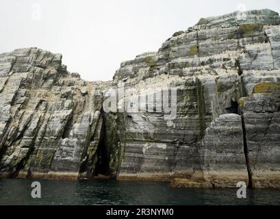 Little Skellig Worlds seconda colonia di gannet più grande Foto Stock