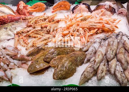 Pesce fresco e frutti di mare in vendita al mercato Foto Stock