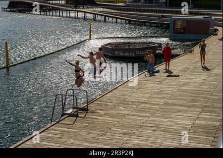 Nuotatori che saltano in acqua sul lungomare di Kalvebod Brygge, Copenaghen, Danimarca Foto Stock