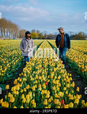 Coppia camminando in un campo di tulipano colorati campi di tulipano nei Paesi Bassi Flevoland durante la primavera Foto Stock