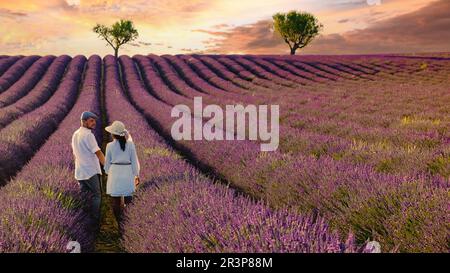 Coppia visitare la Provenza, campi di lavanda al tramonto, Altopiano Valensole Provenza Francia Foto Stock