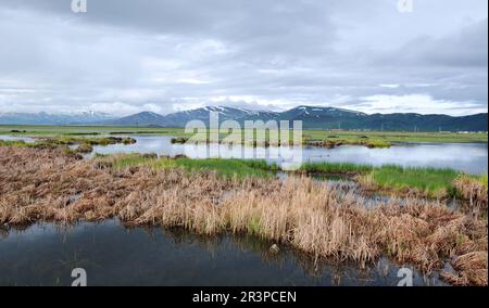 Caldiran a Van, Turchia. Foto Stock