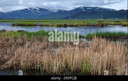 Caldiran a Van, Turchia. Foto Stock