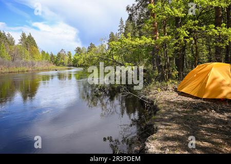 Sul fiume della foresta nel Parco Nazionale di Meshchersky. Primavera, un paesaggio acquatico nella Russia centrale. Foto Stock