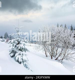 Paesaggio montano di campagna invernale Foto Stock