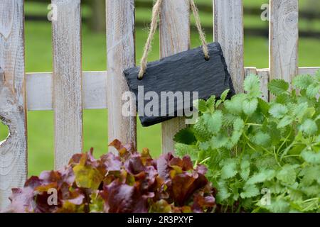 recinzione da giardino con lavagna nera vuota Foto Stock