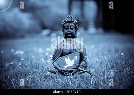 Statua di Buddha seduta su un prato con una colomba di pace Foto Stock