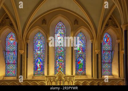 La Cattedrale di St Patrick, Dublino, Irlanda Foto Stock