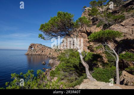 Sa Foradada término Municipal de Deyá, Maiorca, isole Baleari, Spagna. Foto Stock