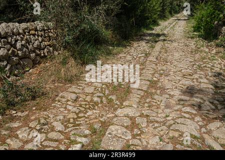 Camino de Bànyols, Alaró, Maiorca, isole Baleari, Spagna. Foto Stock